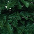 prestige nobilis choinka 13783.jpg