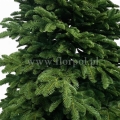 prestige nobilis choinka 13770.jpg