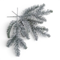 florpol.p  13789.jpg