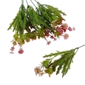 florpol.live 13899.jpg