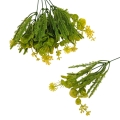 florpol.live 13896.jpg