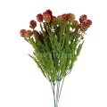 florpol.live 13879.jpg