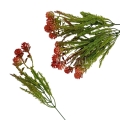 florpol.live 13882.jpg