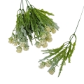 florpol.live 13883.jpg