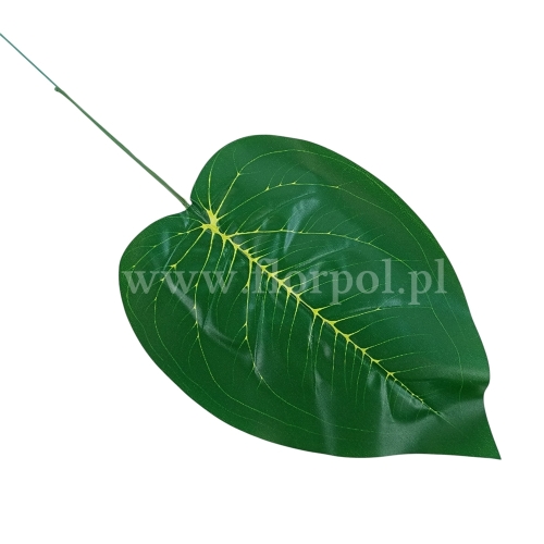Liść kalla 12szt zielony (PK-079)