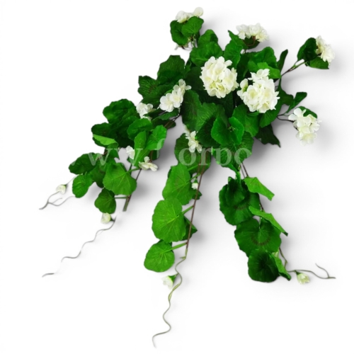 bukiet - pelargonia zwisająca 1szt #2058 white (SUN681)