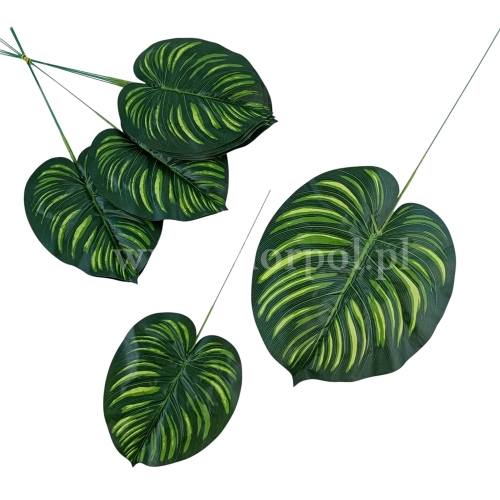 Filodendron liść L 12szt zielony/żółte promienie (H015C-01)