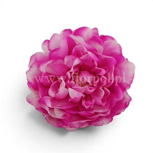 Delikatna peonia wyrobowa 12szt #1734 pink cream (SUN406)