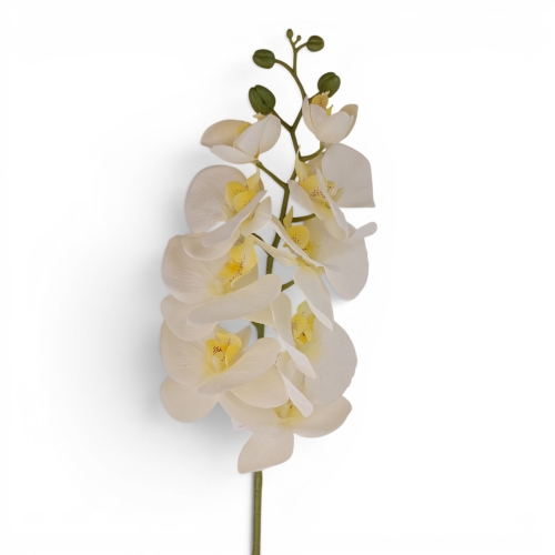 orchidea satynowa 1szt cream (ZB008)
