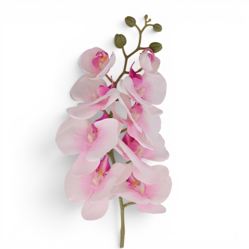 orchidea satynowa 1szt j róż/ecru (ZB008)