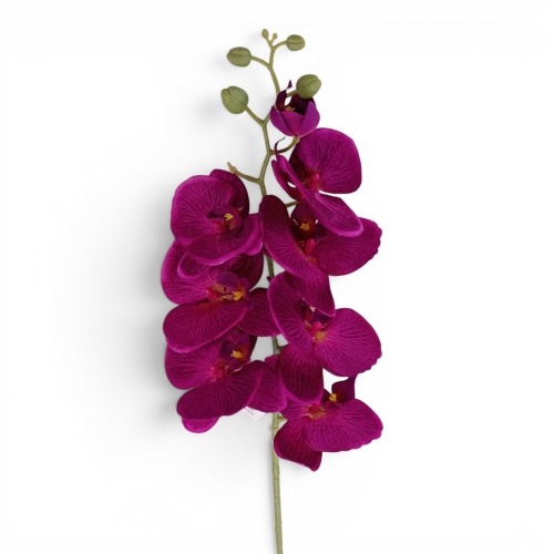 orchidea satynowa 1szt cyklamen (ZB008)