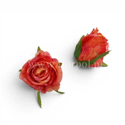 19cf73a6431784de77139bf5d8e0305c