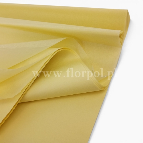 Bibuła w arkuszach 50x75 1op creme (84T0003)