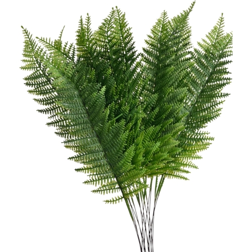 liść paproci karbowanej 12szt lt.green (TIK009)