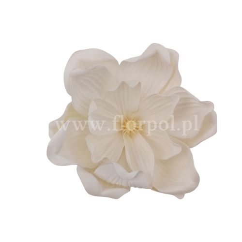 Magnolia piankowa, wyrobowa 6szt biały (MH17)