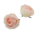1453 peach lt.green.jpg