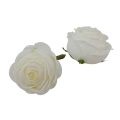 1583 new cream.jpg