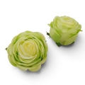 15840 green.jpg