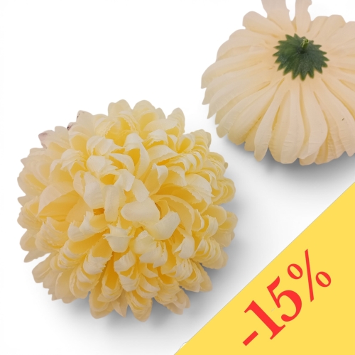 Chryzantema ananas 6szt #5 jasny kremowy (Basia)