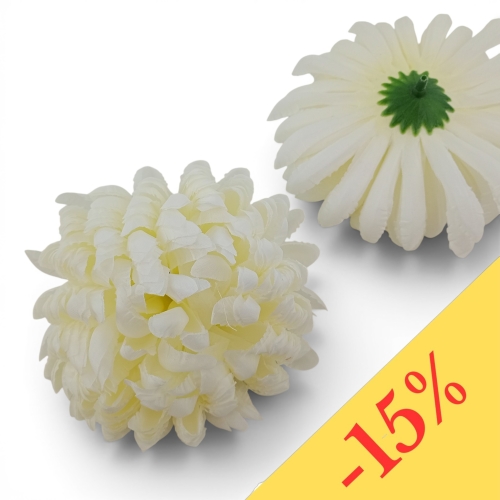 Chryzantema ananas 6szt #3 ecru/słoneczny u nasady (Basia)
