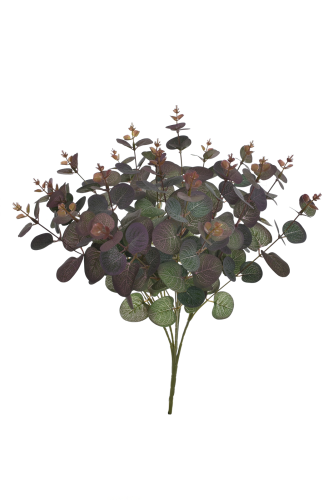 Eukaliptus bukiet PURPLE GREEN (LIU007) 