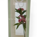 florpol.live 14481.jpg