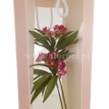 florpol.live 14473.jpg