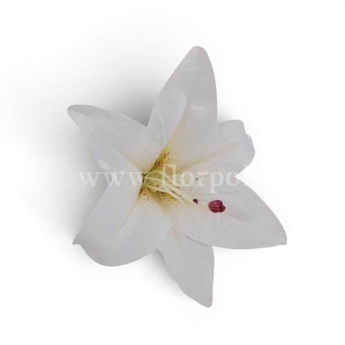 Lilia satynowa, cieniowana 12szt ecru (T140-23-1111H_AUT2)