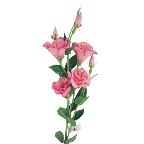 Eustoma atłasowa 7 kwiatów/ wysoka/cieniowana #2892 dirty pink (SUN345)