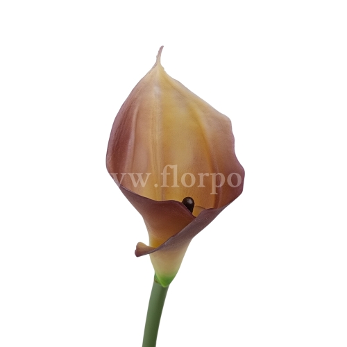 Kalla stulony kielich #C19 lt.brown/cream (AL45106)