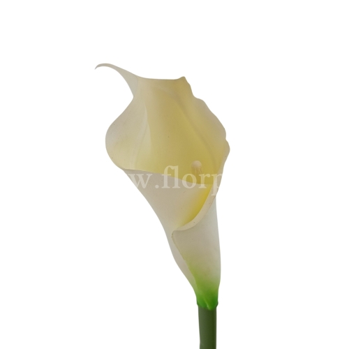 be8690ef56d351cda32eccd53e3a72ae