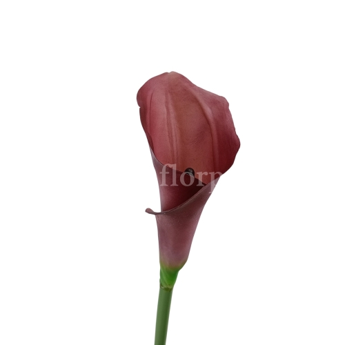 Kalla stulony kielich #C20 burgundy (AL45106)