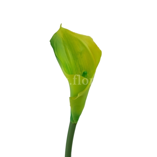 Kalla stulony kielich #10 lt.green (AL45106)