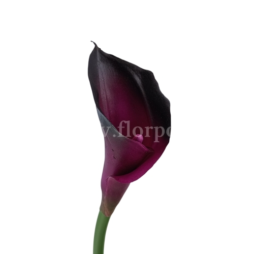 Kalla stulony kielich #192B tt.purple (AL45106)