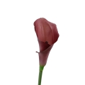 #C20 burgundy.jpg