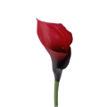 #LD-52 dk.red.jpg
