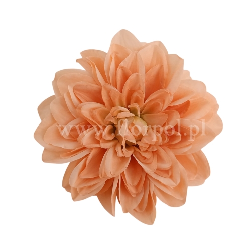 Dalia cieniowana, wyrobowa 6szt morelowy (T137-23-0612 mix2)