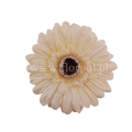 florpol.live 14921.jpg