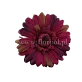 florpol.live 14923.jpg