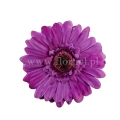 florpol.live 14924.jpg