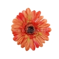 florpol.live 14915.jpg