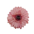 florpol.live 14916.jpg