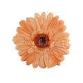 florpol.live 14917.jpg