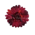 florpol.live 14918.jpg