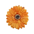 florpol.live 14919.jpg