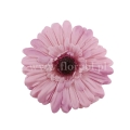 florpol.live 14920.jpg