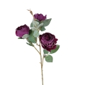 florpol.live 14929.jpg