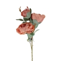 florpol.live 14930.jpg