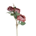 florpol.live 14931.jpg