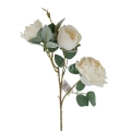 florpol.live 14925.jpg